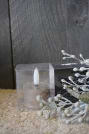 COUNTRYFIELD WAXINEKAARSEN - TAUPE