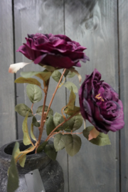 ROSE SPRAY PURPLE