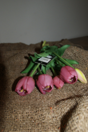 TULPEN PAARS 40 CM
