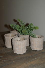 ROTAN BLOEMPOTJES