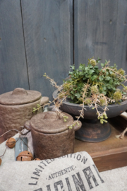 KUNSTBLOEM HALVE BOL GROEN - S
