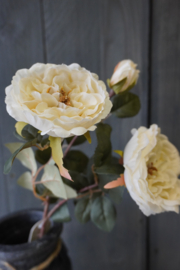 ROSE SPRAY WHITE