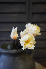 PAPEGAAI TULPEN CREME 40 cm