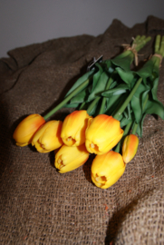 TULPEN GEEL/ORANJE 40 CM