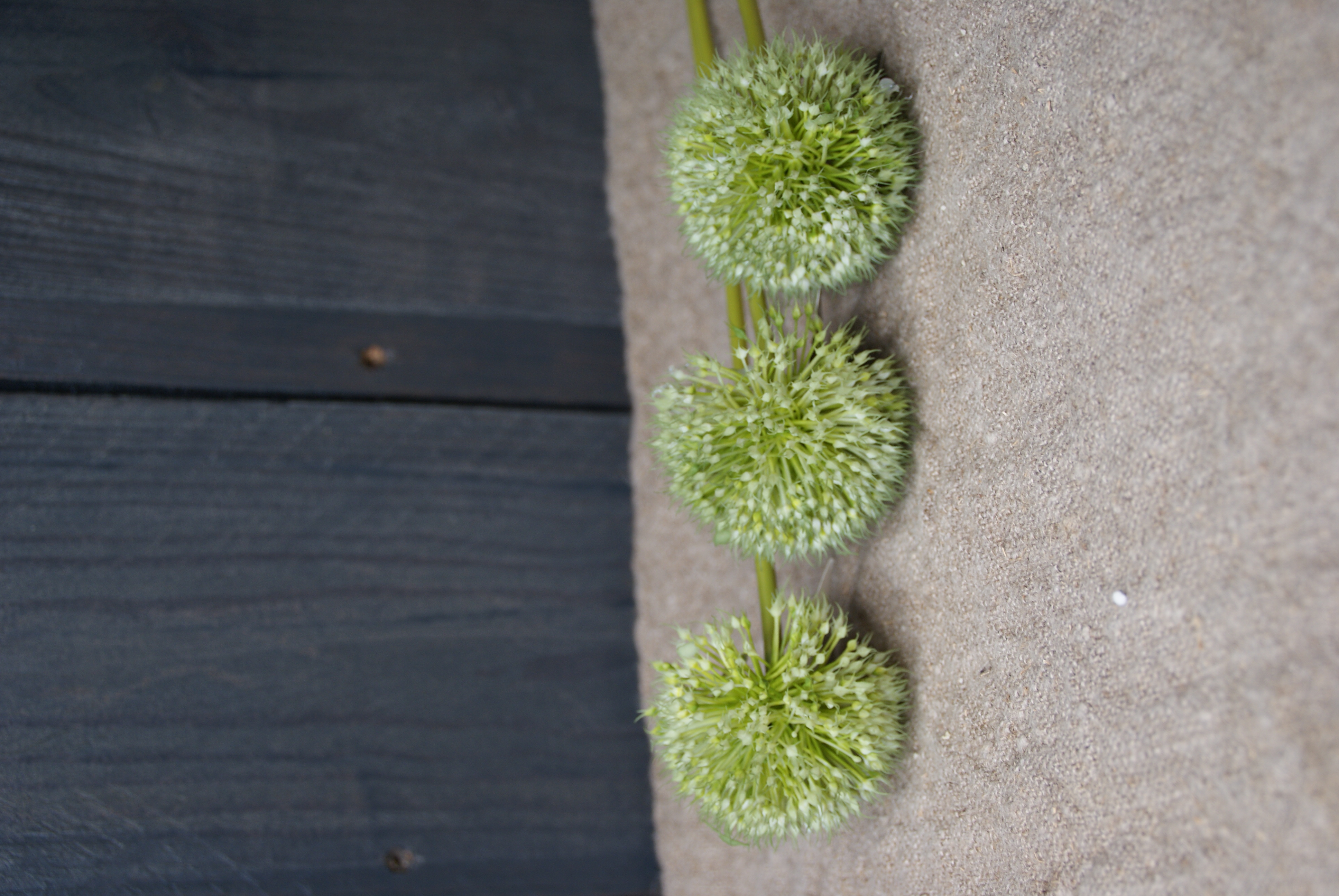 ONION BALL FLOWER SPRAY GREEN - S