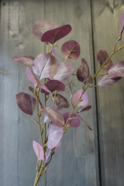 EUCALYPTUS SPRAY PURPLE