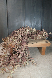 KUNSTTAK EUCALYPTUS HANGEND MAUVE