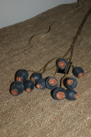PRUNUS DONKER BLAUW