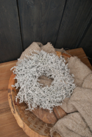 ASPARAGUS WREATH WHITE 28 CM