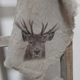 SHABBY DOEK - RENDIER VOORAANGEZICHT
