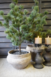 KUNST LARIX BOOM