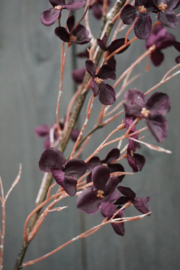 HYDRANGEA BLOSSOM SPRAY PURPLE