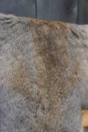 VACHT GRIJS/BRUIN