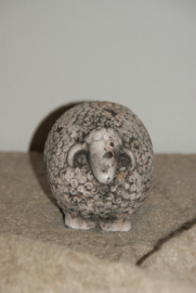 SCHAAP BRUIN