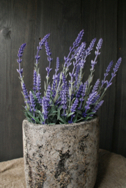 KUNST LAVENDEL