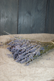 DE ECHTE LAVENDEL