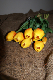 TULPEN GEEL/ORANJE 40 CM