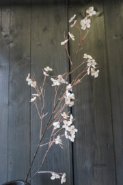 HYDRANGEA BLOSSOM SPRAY CREAM