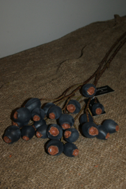 PRUNUS DONKER BLAUW