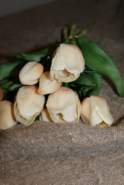 TULPEN CREME 30 CM