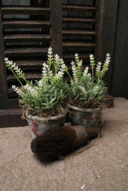 KUNST LAVENDEL IN POTJE- WIT