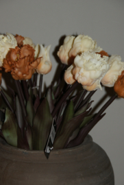 PARROT TULPEN BRUIN 40 cm