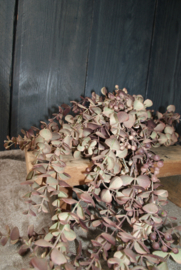 KUNSTTAK EUCALYPTUS HANGEND MAUVE