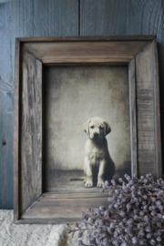 HOUTEN SCHILDERIJ MET ZITTENDE HOND