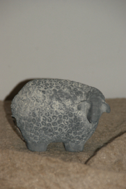 SCHAAP GRIJS