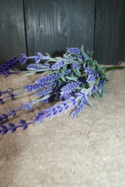 KUNST LAVENDEL