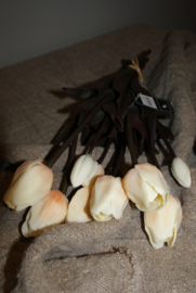TULPEN CREME 40 CM