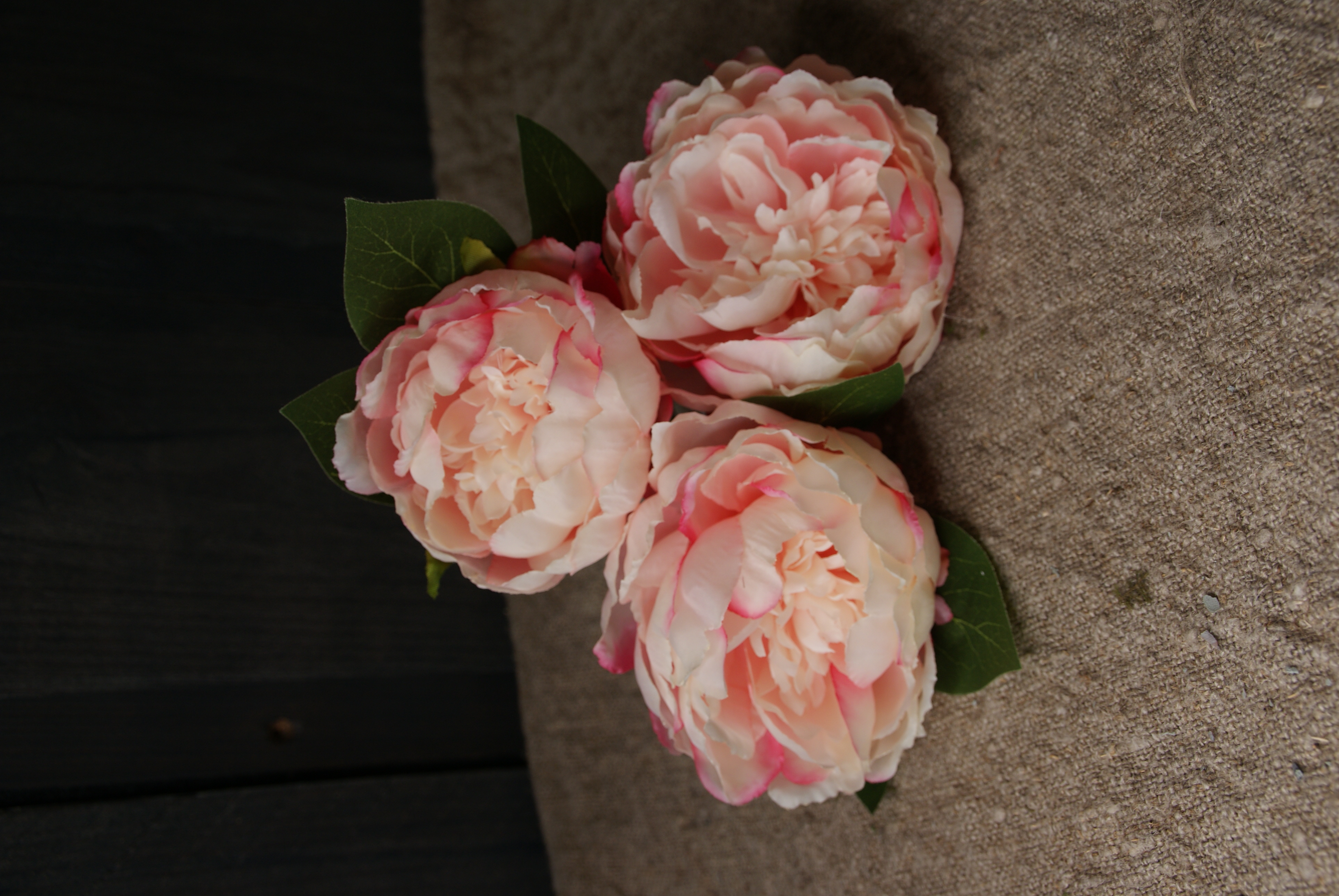 PIOENROOS PINK