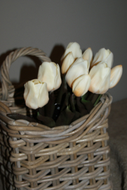 TULPEN CREME 30 CM