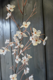 HYDRANGEA BLOSSOM SPRAY CREAM