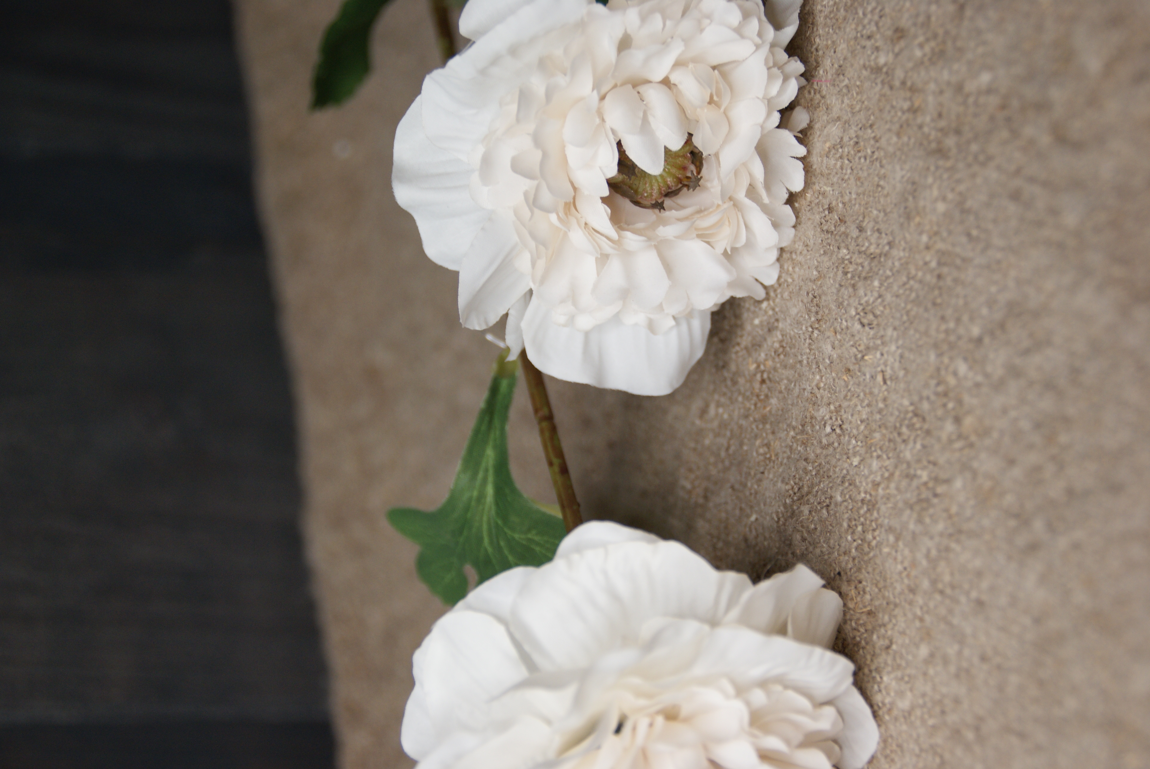 ANEMONE WHITE- S