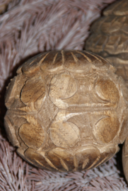 DECORATIE BALLEN- INDIA