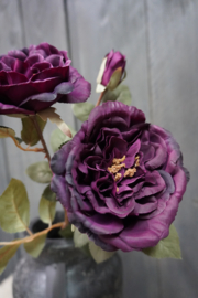 ROSE SPRAY PURPLE