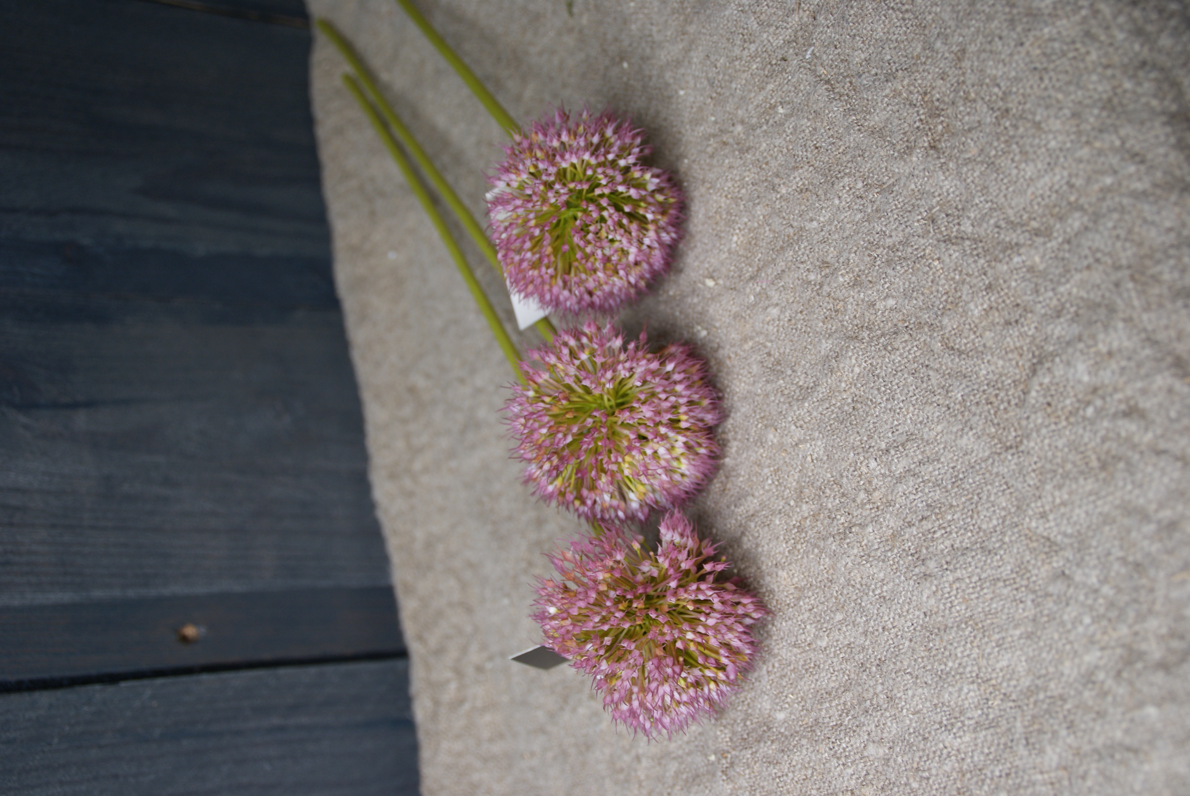 ONION BALL FLOWER SPRAY ROZE -S