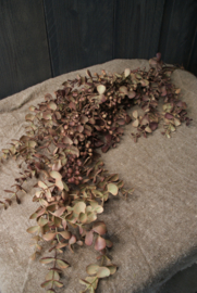 KUNSTTAK EUCALYPTUS HANGEND MAUVE