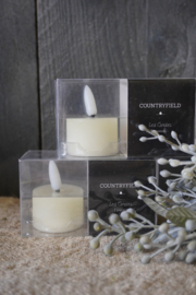COUNTRYFIELD WAXINEKAARSEN - CREME