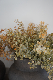 SYLXZ GINKGO BUSH AUTUMN