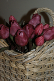 TULPEN PURPLE 30 CM