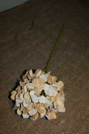 KUNST HORTENSIA
