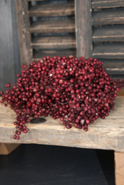 PEPPERBERRY- BORDEAUX