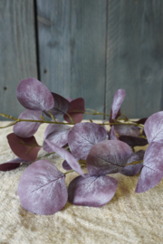 EUCALYPTUS SPRAY PURPLE