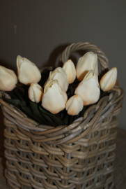 TULPEN CREME 30 CM