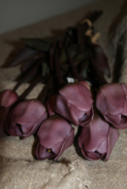 TULPEN PURPLE 40CM