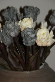 PARROT TULPEN GRIJS 40 CM