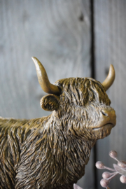 HOOGLANDER- STAAND
