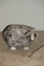 SCHAAP BRUIN